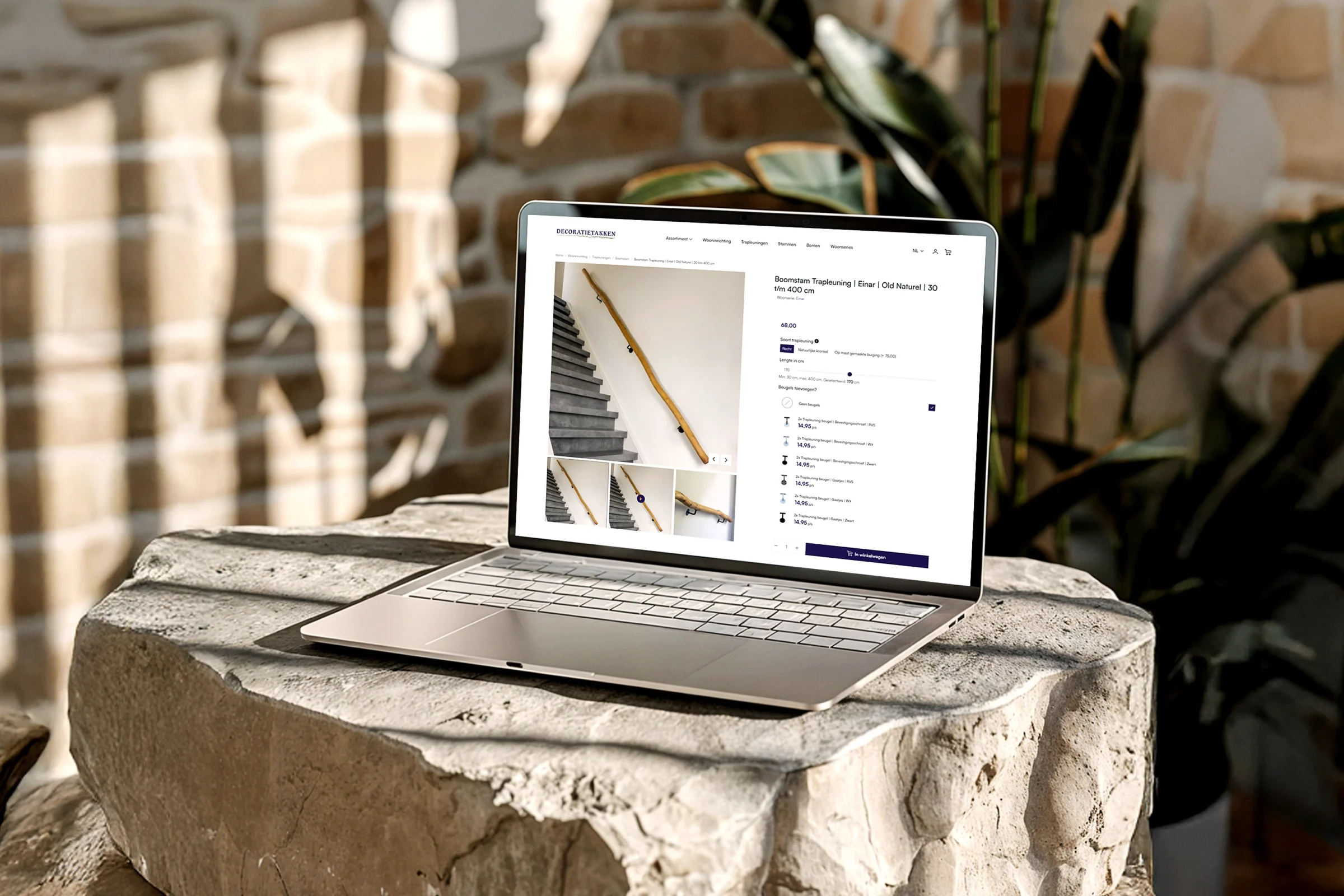 decoratietakken-spits-case